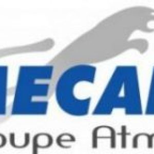 logo mecafi